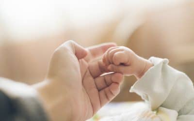 How to Add a Father to a Birth Certificate in Florida